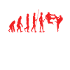 Évolution du karaté