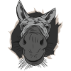 Donkey Crack