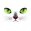 Cat Face Green Eyes