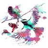 Bunte Vögel,fink,meise, vogelschwarm, Graffiti