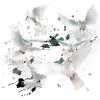 pigeons,deaf,birds,flocks of birds,white,graffiti