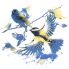 Vögel,kohlmeise, vogelschwarm, Graffiti,bunt