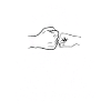 Opa Enkelin