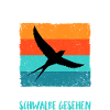 Vögel Vogel Schwalbe