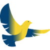 Pigeon Ukraine Flag
