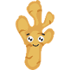 Ginger