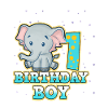 1st birthday
