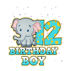 Anniversaire 12