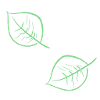 leaves tree