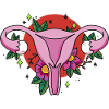 Vulva Design