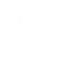Saxophonist Saxophonist Saxophone Saxophone