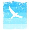 Birds Bird Swallow