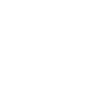Birds Bird Swallow