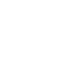 Coconut Icon Icon