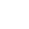 Strawberry Icon Icon