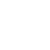 Hedgehog plays guitar guitarist gift