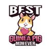 Guinea pig