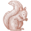 Cute Nutty Squirrel