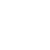 Mentor