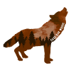 Climate Change Environmental Protection Wolf