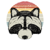 Raccoon Retro