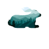 Hare