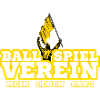 Dortmund Football Fan