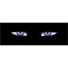 Yeux d’anime