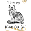 Maine Coon Cat, J’aime mon Maine Coon