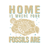 Fossil Collectors