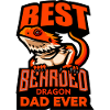 Papa Dragon Barbu