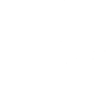 Dandelion - seeds fly away