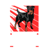Mit Jagdterrier besprechen Deutscher Jagdterrier