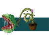 carnivorous plant
