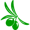 Olive leaf branch
