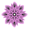 Purple Flower illustration