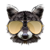 Raccoon with sunglasses