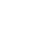 Bison Wisent