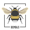 Bumblebee – Bombus