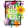 SUMMER FLOWERS