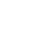 Rose flower