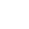 Globe icon icon