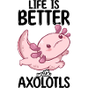 Axolotl