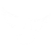 White Pigeon | Weiße Friedenstaube