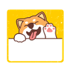 Méfiez-vous du Shiba Inu