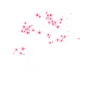 Shiba Inu Japanese Cherry Blossom Sakura