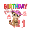 Birthday child 11 meerkats