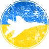 Le fantôme de Kiev