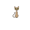 I mellemtiden i kassen Schrödingers kat