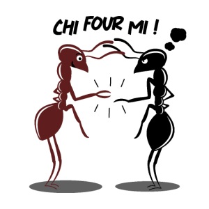 CHI FOUR MI ! (pierre,feuille,ciseaux,fourmi)